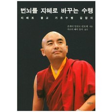 번뇌를 지혜로 바꾸는 수행:티베트 불교 기초수행 길잡이, 지영사