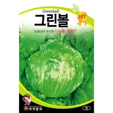 그린볼양상추 10g 씨앗