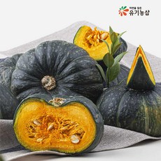 국내산 단호박 3kg (전남 해남), 1개