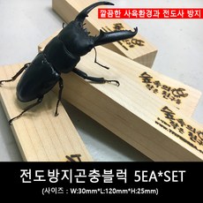 전도방지곤충블럭 5EA SET, 5개