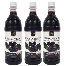 [차전에프앤비] 자연에서 온 복분자 900mlx3병, 900ml, 3개