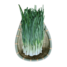 국내산 쪽파 깐쪽파 제주 보성 1단 1kg 이내, 제주 1단(약 1kg), 참여, 1개