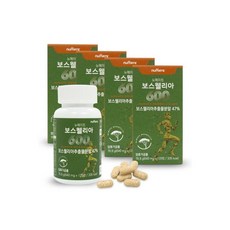 뉴메이트 보스웰리아 (4박스/8개월분) /관절 연골 영양제, 4개, 120정