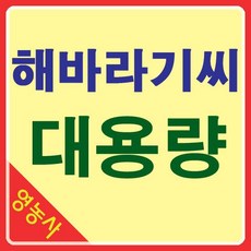 해바라기 씨앗 500g- 키큰 해바라기씨앗, 필수선택:해바라기 500g