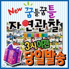 꿈틀꿈틀자연관찰