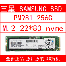 SSD메모리 PM981/PM981A256G512G1T M.2PCIE NVMe22X80SSD SSD, 1MB, T02-레드
