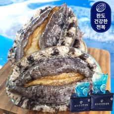 [선물포장] 완도활전복 9-10미 1kg(마리당100g내외), 1개