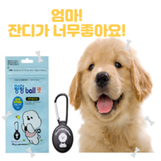 천연식물성오일 윙윙ball펫 애견 안심 산책용 진득이 기피제, 5개