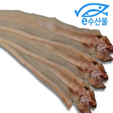 반건조바다장어