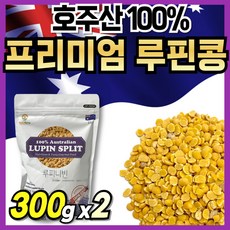 식약청통관 루비니핀...