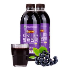 아로니아발효액