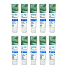 Desert Essence Tea Tree Oil Toothpaste Mint 데저트에센스 내츄럴 티 트리 오일 치약 민트 176g(6.25oz) 10팩 펄이지엥