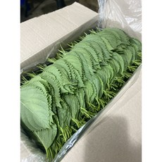 백양사펴진깻잎2kg