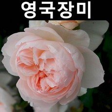 7ad0c4e9b9ed8b2aa300a6421e2f98335f256adbdea974739fb0ecdef83c.jpg