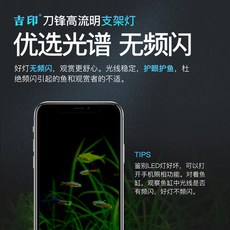 e3266384860654de64cc3c1eb5ab1b82815b217079f2d786b5aed9eb607a.jpg