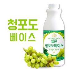 쉘몬 과일농축액 청포도베이스 1kg