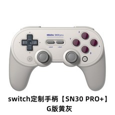 스위치라이트pc연동