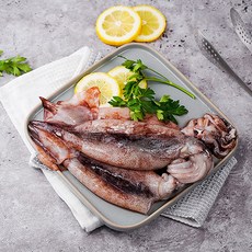 총알오징어제철