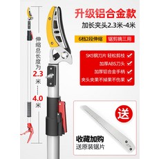 매실체험