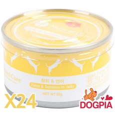 네츄럴코어 고양이간식 캔 1box, 참치연어, 95g, 24개
