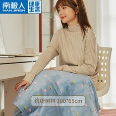 코스트코전기담요