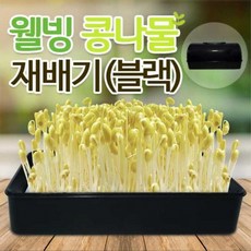 숙주키우기 콩나물키우기, 상세페이지 참조