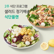 [포켓샐러드] 2주 샐러드 정기배송/ 짜여진 식단 주5일 / 매일 다양하고 맛있는 식단 관리 (총10팩), 245g, 10개