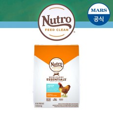 뉴트로캣1세이상