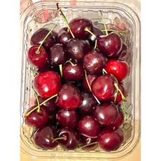비교불가 새콤달콤 고당도 생체리 1kg 2kg 특대, 1개