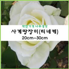 //상품명