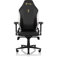 Secretlab TITAN Evo 클래식 게임 의자(R 사이즈) PU 가죽 Secret Lab 책상 의자 사무실 게임 인체 공학 PC 요추 지지대 4D 팔걸이 게임용