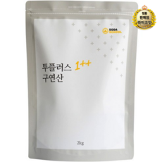 라이크잇 소다스쿨 투플러스 구연산, 11개, 2kg