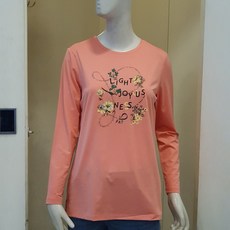 피티아시바대여