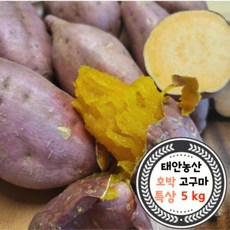 건강한 태안 안면도 호박고구마 특상(1...