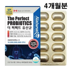메타포트프로2