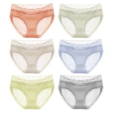 노부영베렌스테인베어6종