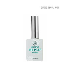 뷰젤안티펑