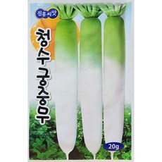 청수궁중무 단무지무 김장무씨앗 김장씨앗 20g 진흥 24년, 1개