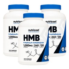 hmb-1000 TOP01