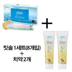 애터미 프로폴리스 치약 2개+칫솔 1세트(8개입), 1세트, 8개입