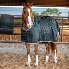 Classic Equine 앞면이 닫힌 클래식 안정적인 시트 블랙 스몰