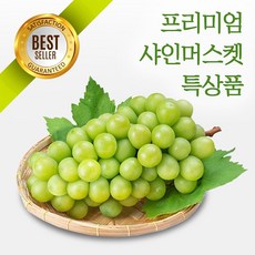 신세계백화점대전아쿠아리움