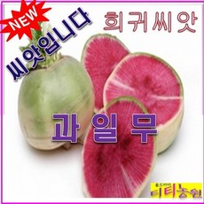 SP1/희귀씨앗/과일무 (100립) / 붉은 수박무, 상세페이지 참조