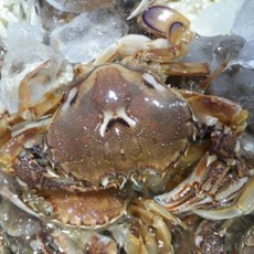 대게만찬상품권