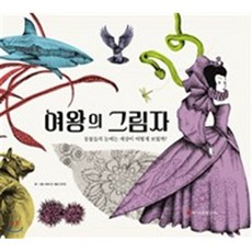 벨레필터