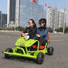 버기카 사발이 4륜 사륜 오토바이 바이크 전동카트광장 모터사이클 파크뷰 택시 비치카, 05 그린 듀오