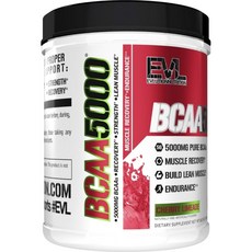 EVLUTIONNUTRITION BCAA 5000 체리 라임에이드 맛, 1개, 747g