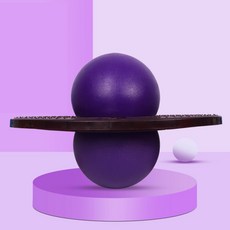 이고진토끼점핑볼