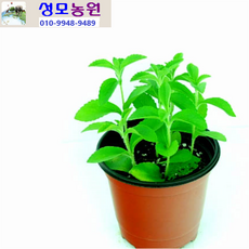 62c514c4eca6ac72df81fc916cb31c830fbd43cdf31776de82ccb7de0a24.png