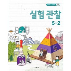 5학년2학기실험관찰